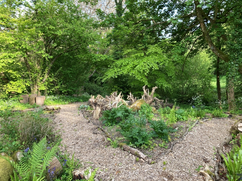 Valley Spring